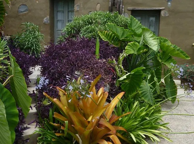 ヴィラ El Susurro Ecoliving_villa Pardela